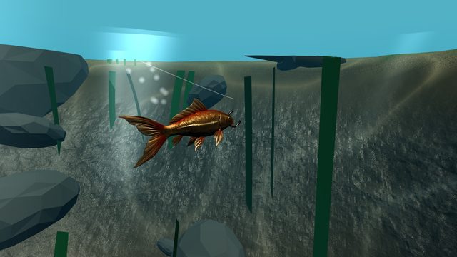 Underwater, a Sunfire Koi turning toward the lure